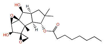 Coriolin B